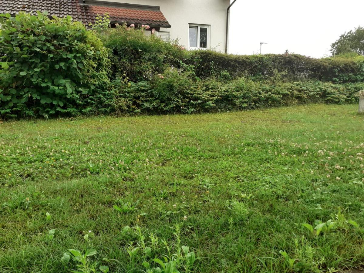 Ferienwohnung Am Kurpark, גיילינגן מראה חיצוני תמונה